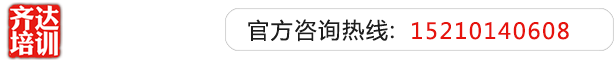 欧美大屌插小穴齐达艺考文化课-艺术生文化课,艺术类文化课,艺考生文化课logo